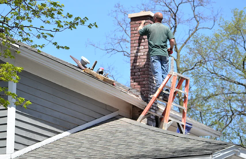 Chimney & Fireplace Inspections Services in Highland Springs, VA
